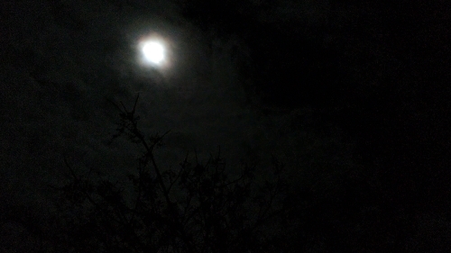 いま_f0155808_00510660.jpg