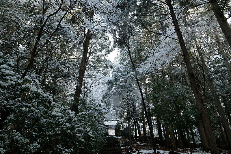 雪景色@常照皇寺_f0032011_16371792.jpg