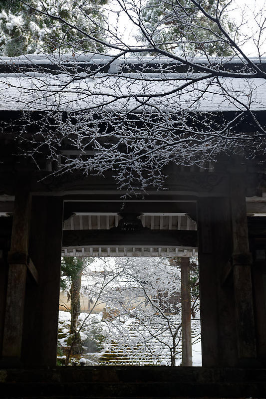 雪景色@常照皇寺_f0032011_16371837.jpg