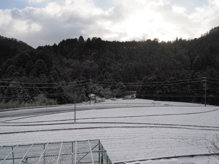 今朝の雪景色_c0116915_22225783.jpg