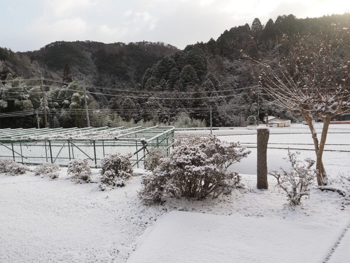 今朝の雪景色_c0116915_22252722.jpg