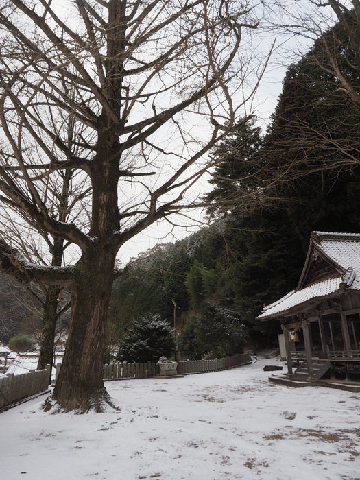 雪の客人神社_c0116915_22340878.jpg