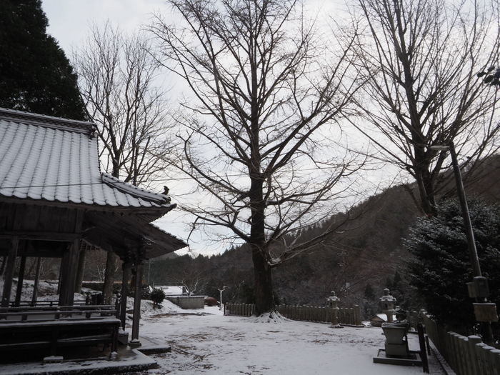 雪の客人神社_c0116915_22354646.jpg