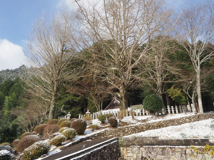雪の客人神社_c0116915_22361330.jpg