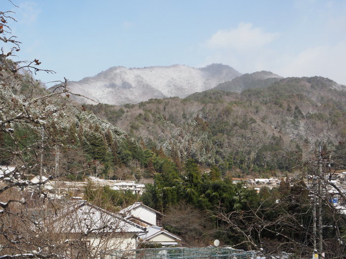 2020年ありがとうございました!_c0116915_23002570.jpg