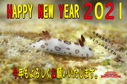 Ａ HAPPY NEW YEAR!!2021_c0070933_23373984.jpg
