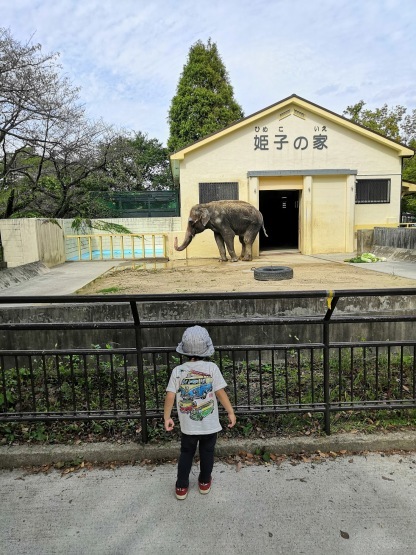 2020年を振り返って_c0105957_13513641.jpg