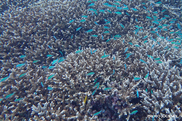 名倉湾方面へ_e0158261_07340163.jpg