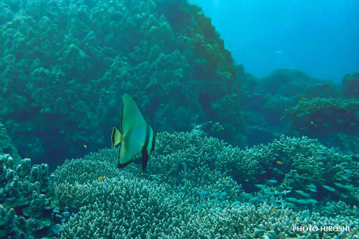 名倉湾方面へ_e0158261_07344614.jpg