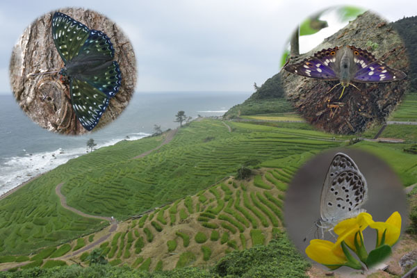 新年のご挨拶_e0167571_16344023.jpg