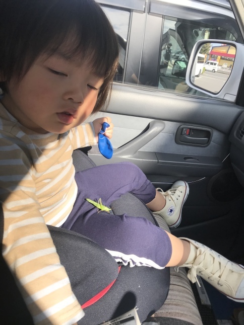 12月31日(大晦日):明日が最終日 m(__)m_d0152280_11301710.jpeg