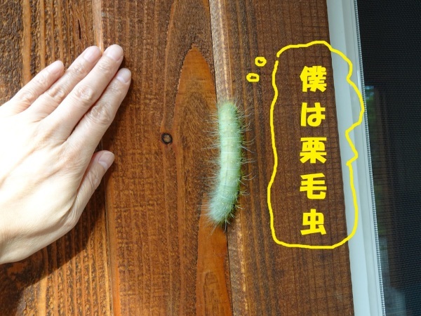 昨年の思い出^^_a0211886_21281371.jpg