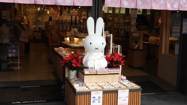 日本の観光事業のこれから・・・コロナ禍での京都観光、日本の観光業のこれから・・・・京都観光、京都の町は閑散としています。コロナ禍からの復興は観光事業からと考える_d0181492_17260490.jpg