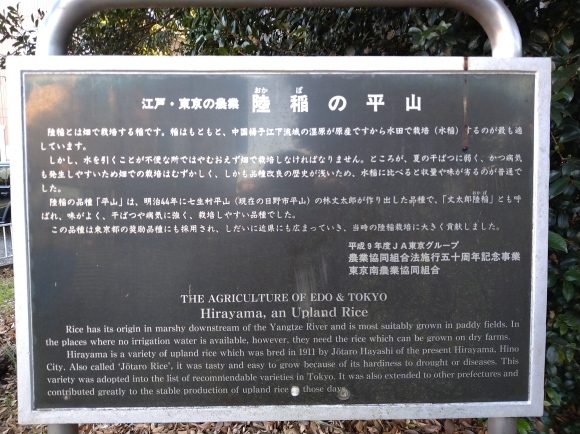 1/1 初詣&新春ウォーキング@ひとり_b0042308_20071363.jpg