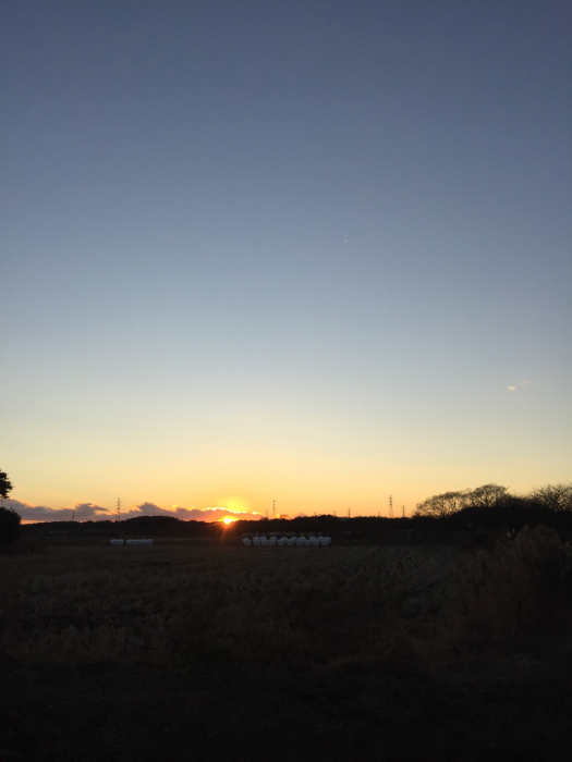 2021へら鮒初釣り凸_a0251116_22215287.jpg