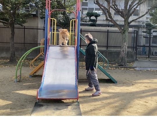 明けましておめでとうございます。_a0098418_18575863.jpg