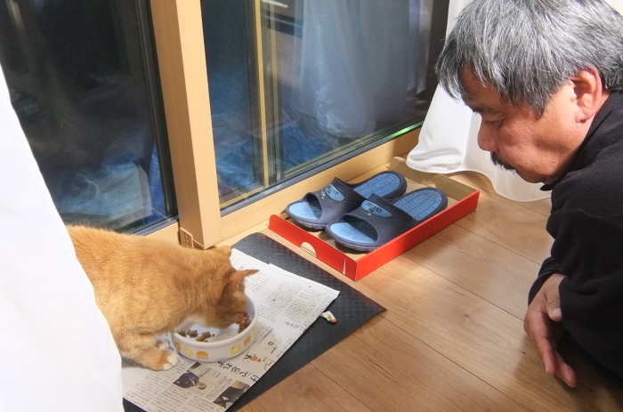 ラッキーさん　家猫化_f0050534_18413044.jpg