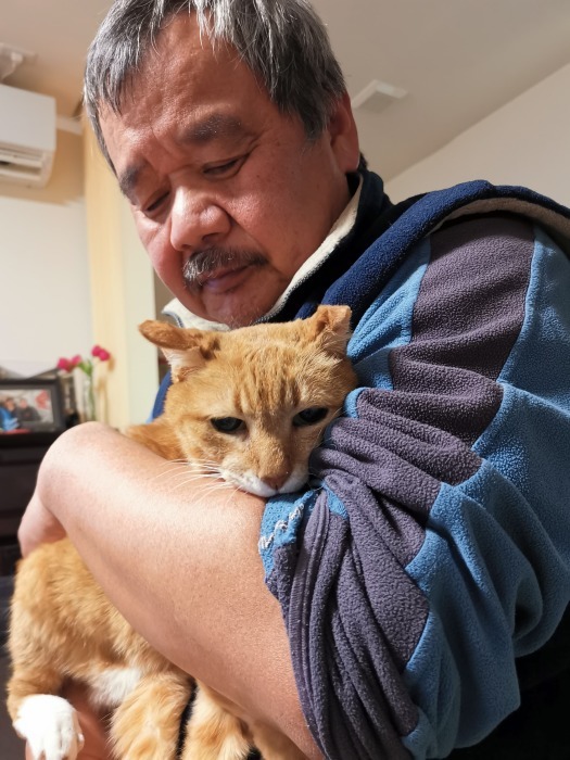 ラッキーさん　家猫化_f0050534_18433279.jpg