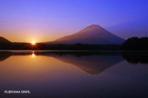 新年のご挨拶_b0299052_07132504.jpg