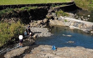 付け替え道路 座り込み区間工期延長せず いったん打ち切り_f0197754_18214363.jpg