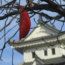 県は「話し合い」と言うけれど/石木ダム本体工事で初入札_f0197754_18231130.jpg