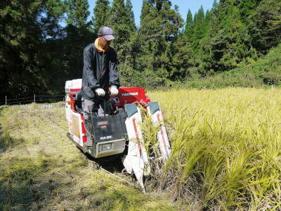 2021年新年のご挨拶　今年も生産者と消費者の立場から熊本の旬を紹介！こだわりと年頭の誓い_a0254656_17082237.jpg