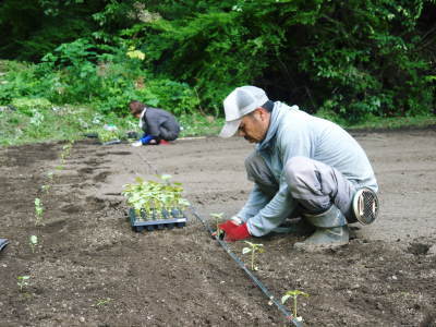 2021年新年のご挨拶 今年も生産者と消費者の立場から熊本の旬を紹介!こだわりと年頭の誓い_a0254656_17203555.jpg