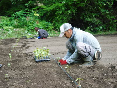 2021年新年のご挨拶　今年も生産者と消費者の立場から熊本の旬を紹介！こだわりと年頭の誓い_a0254656_17203555.jpg