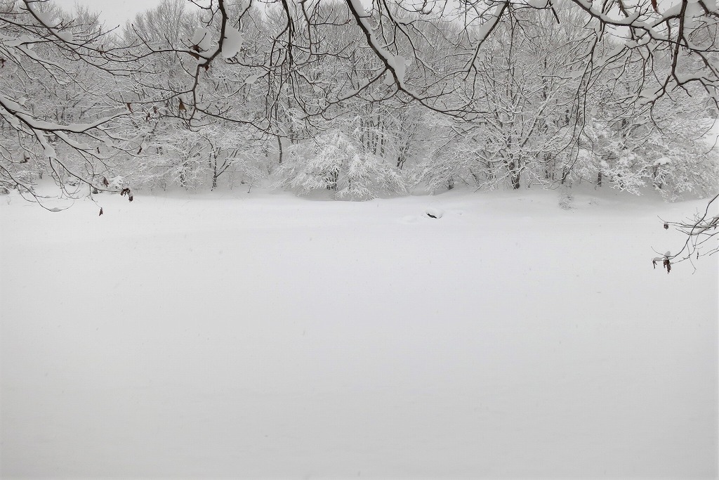 元旦　雪と氷と水_c0294658_14195427.jpg