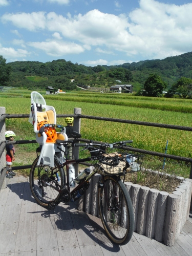 山の辺の道　子連れでサイクリング_b0332867_21032880.jpg