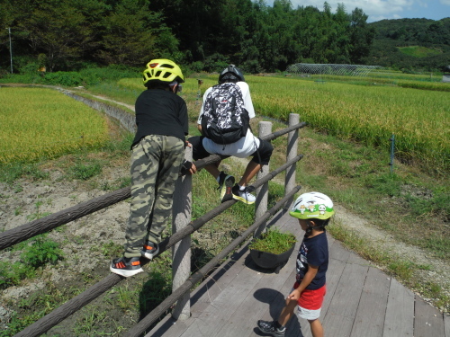 山の辺の道　子連れでサイクリング_b0332867_21061220.jpg