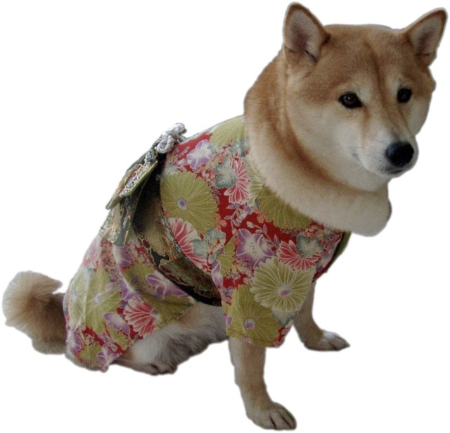 謹賀新年 2021_b0274270_10303078.jpg