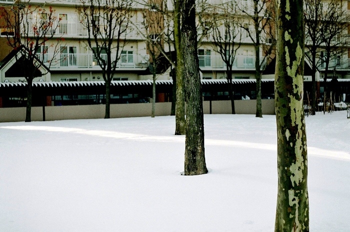 大変な一年でしたという賀状と雪上の光_c0182775_16291962.jpg