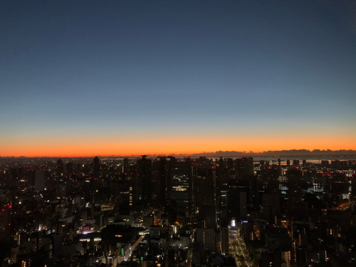 【ことりっぷ】年末年始は巣篭もりっぷ_f0207881_23454893.jpg