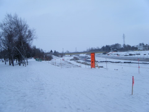 お正月_b0343293_21422315.jpg