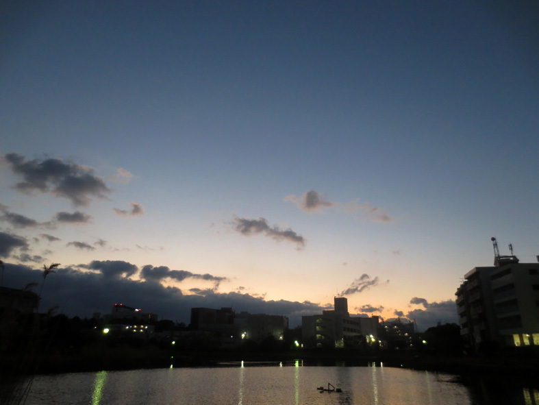  ■新春二日目の雲と夢想──週替わりの夕暮れ［1/2］_d0190217_23064069.jpg