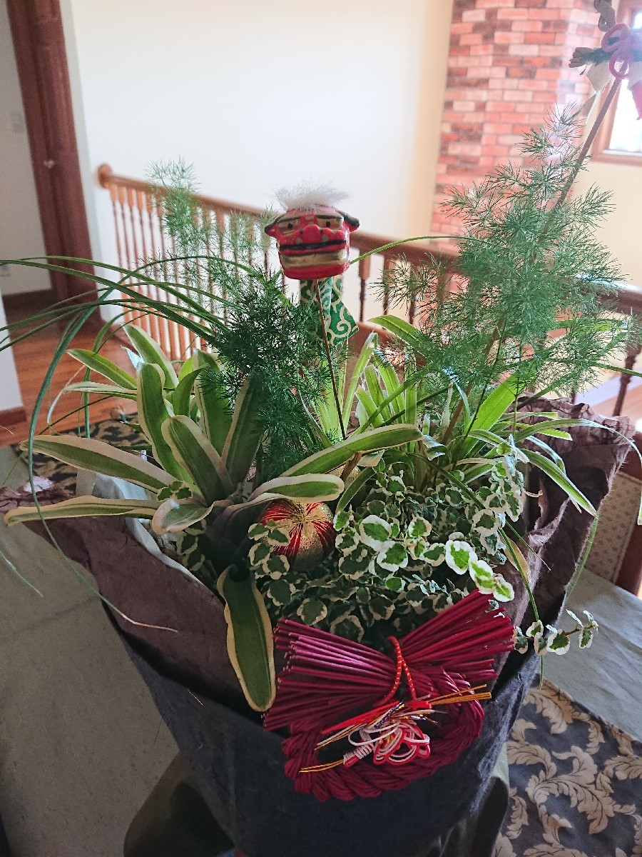 観葉植物と暮らす 優しい時間 観葉植物と暮らす 優しい時間