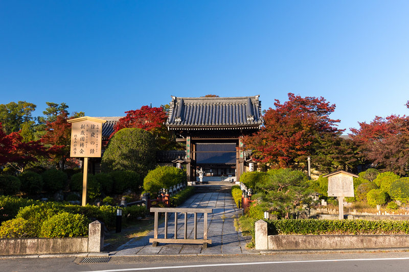 2020紅葉きらめく京都　妙満寺・艶秋_f0155048_20493352.jpg