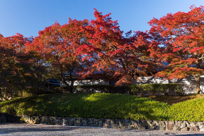 2020紅葉きらめく京都　妙満寺・艶秋_f0155048_20494763.jpg