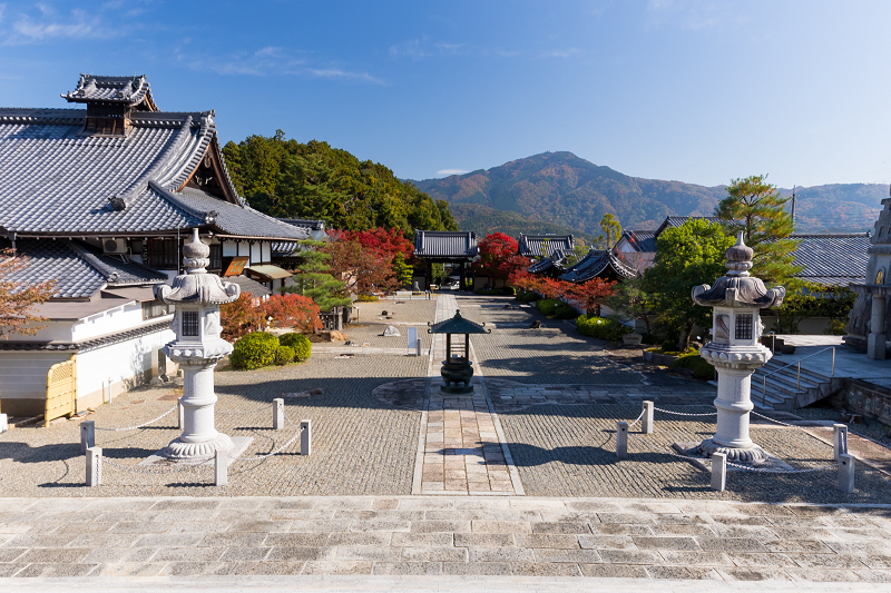 2020紅葉きらめく京都　妙満寺・艶秋_f0155048_20521244.jpg