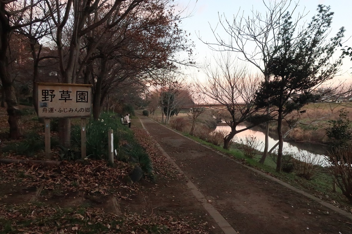 野草園　～新河岸川～_a0107574_17305380.jpg