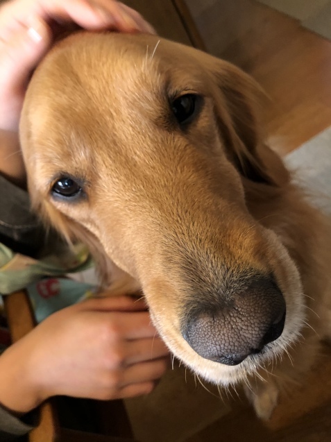 穏やかな幸せ。_a0394574_21110456.jpeg