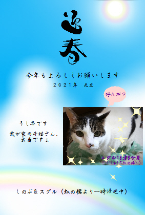 明けました!_e0171874_16371151.jpg