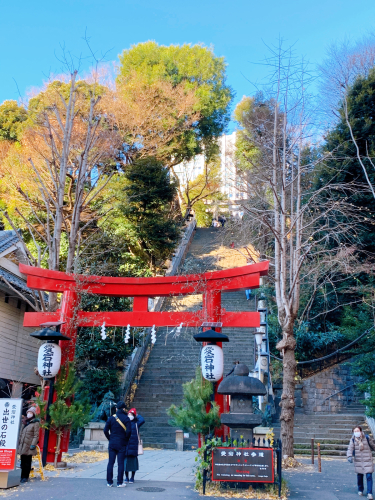 【ことりっぷ】年末年始は巣篭もりっぷ_f0207881_09013044.jpg