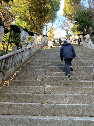 【ことりっぷ】年末年始は巣篭もりっぷ_f0207881_09114368.jpg