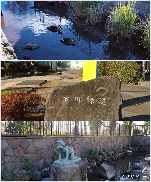 新年は今日から U君の帰京歓迎_c0051105_17205614.jpg