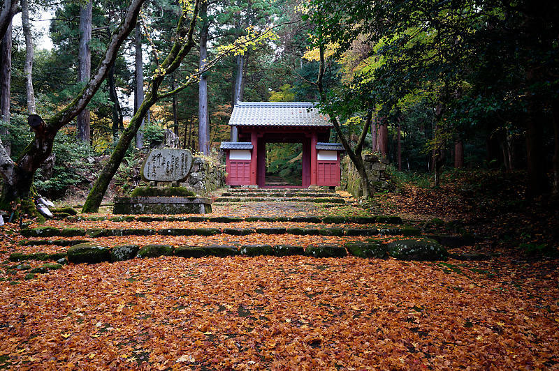 2020湖東の紅葉遠征・其の三(百済寺)_f0032011_12455818.jpg