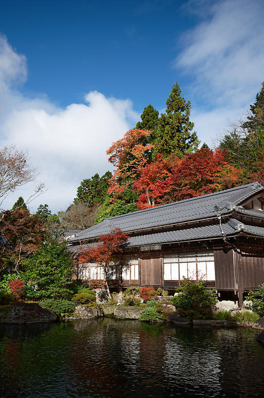 2020湖東の紅葉遠征・其の三(百済寺)_f0032011_12455825.jpg