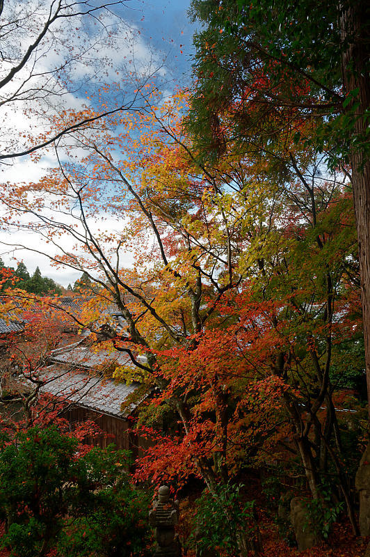 2020湖東の紅葉遠征・其の三(百済寺)_f0032011_12455896.jpg