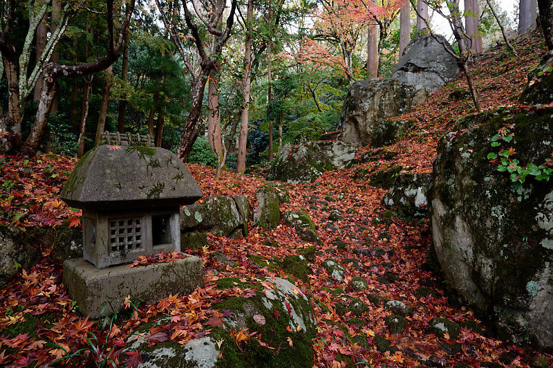 2020湖東の紅葉遠征・其の三(百済寺)_f0032011_12481589.jpg